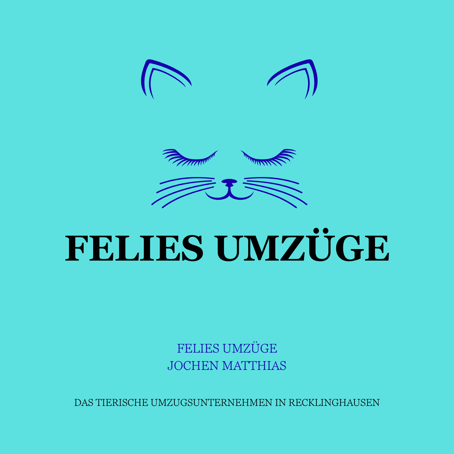 Felies Umzüge